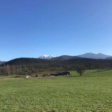 Au Coeur De Loo Villa Sauveterre-de-Comminges Екстериор снимка